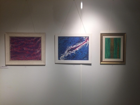 Exhibition at Art Junction, Gallery at the Lalit Hotel , Barakhambha Road , New Delhi 2016