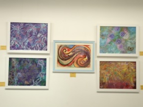 Solo Art Show - Alliance Francaise , New Delhi, Jan 2016