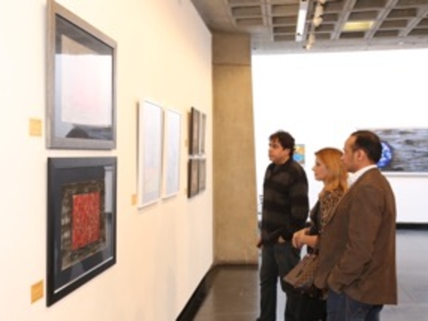 Solo Art Show - Alliance Francaise , New Delhi, Jan 2016