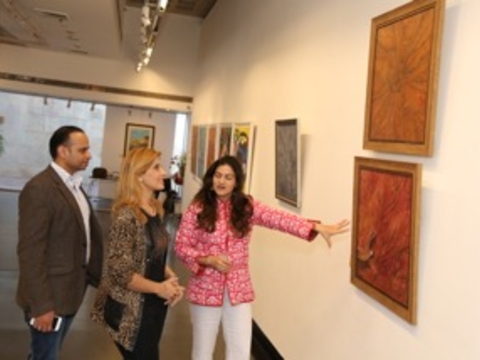 Solo Art Show - Alliance Francaise , New Delhi, Jan 2016